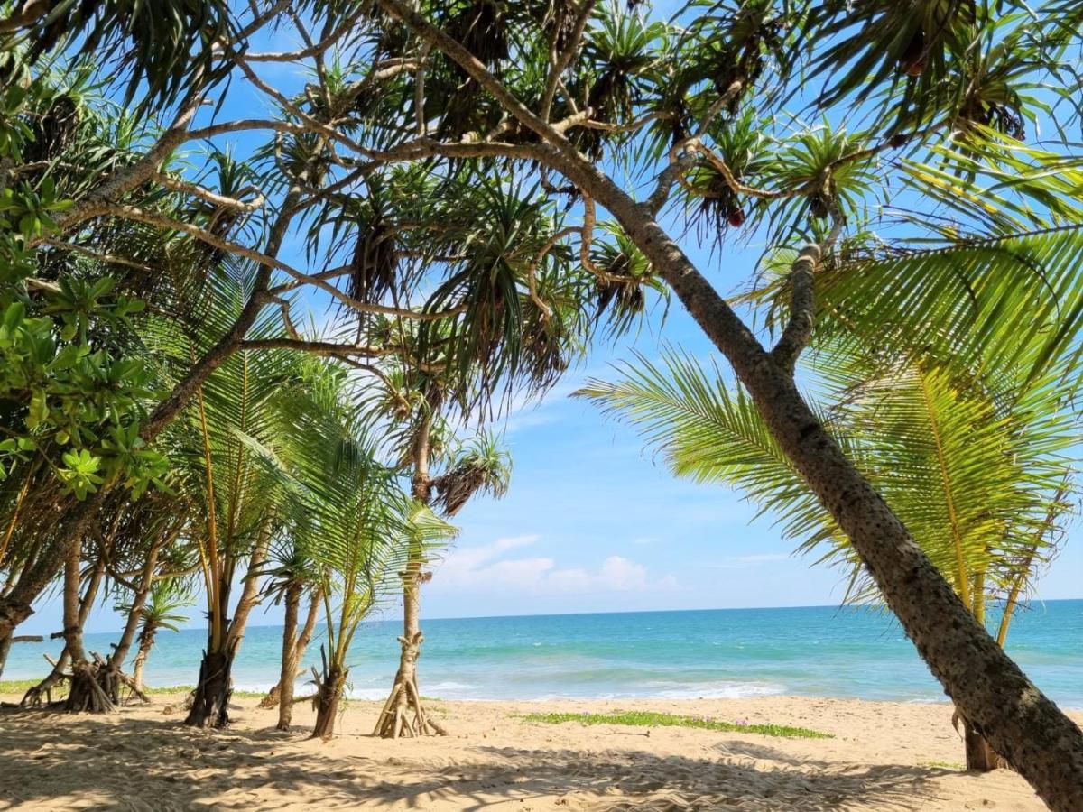 Golden Beach Paradise تانجالي المظهر الخارجي الصورة