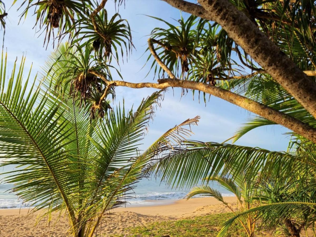 Golden Beach Paradise تانجالي المظهر الخارجي الصورة