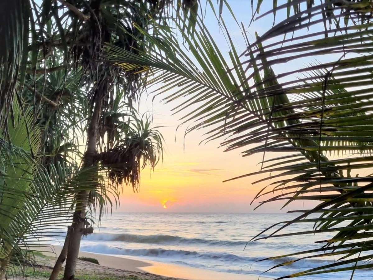 Golden Beach Paradise تانجالي المظهر الخارجي الصورة
