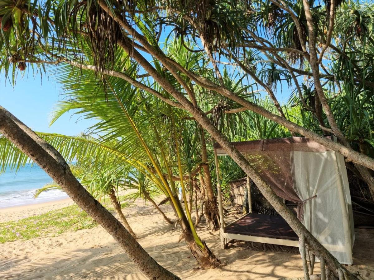 Golden Beach Paradise تانجالي المظهر الخارجي الصورة