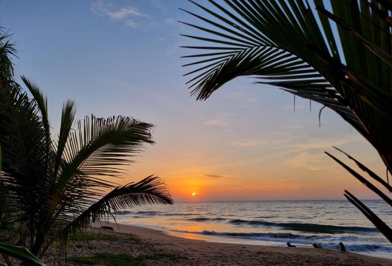 Golden Beach Paradise تانجالي المظهر الخارجي الصورة