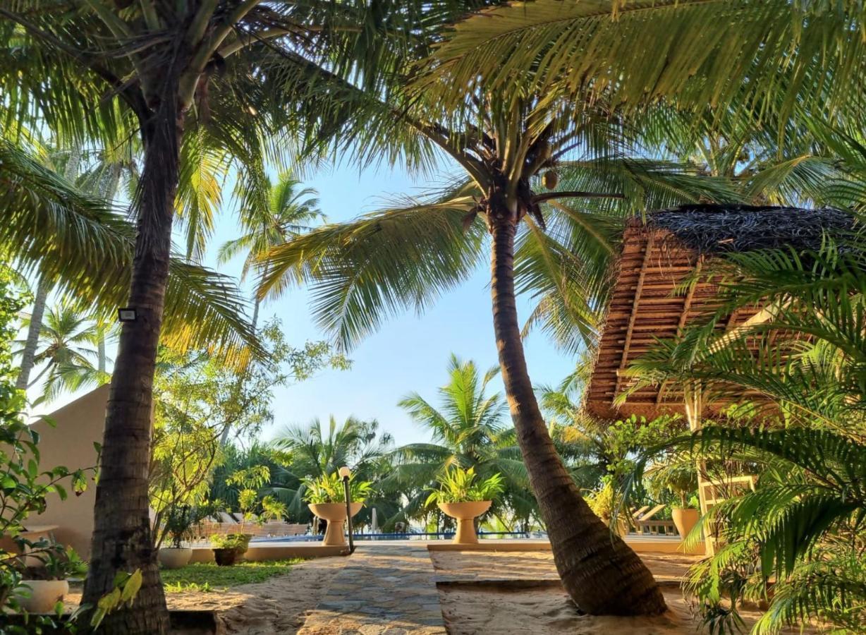 Golden Beach Paradise تانجالي المظهر الخارجي الصورة